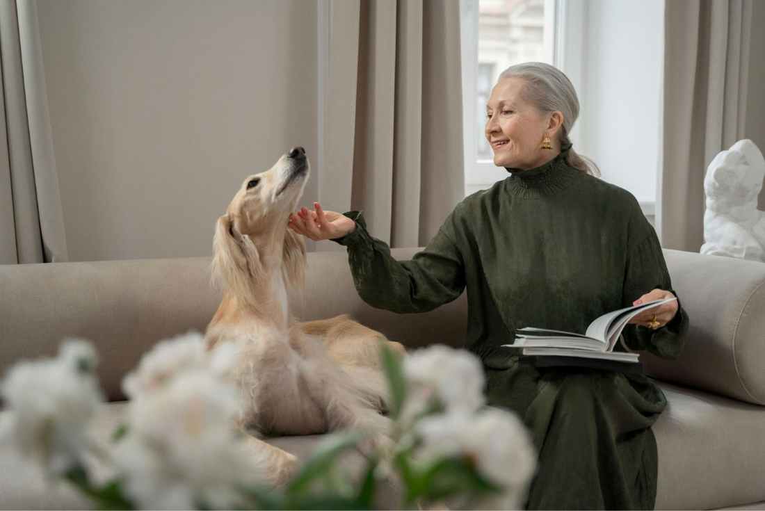 How to Get Pet Odor Out of Couches, Rugs, and Sofas: A Complete Guide