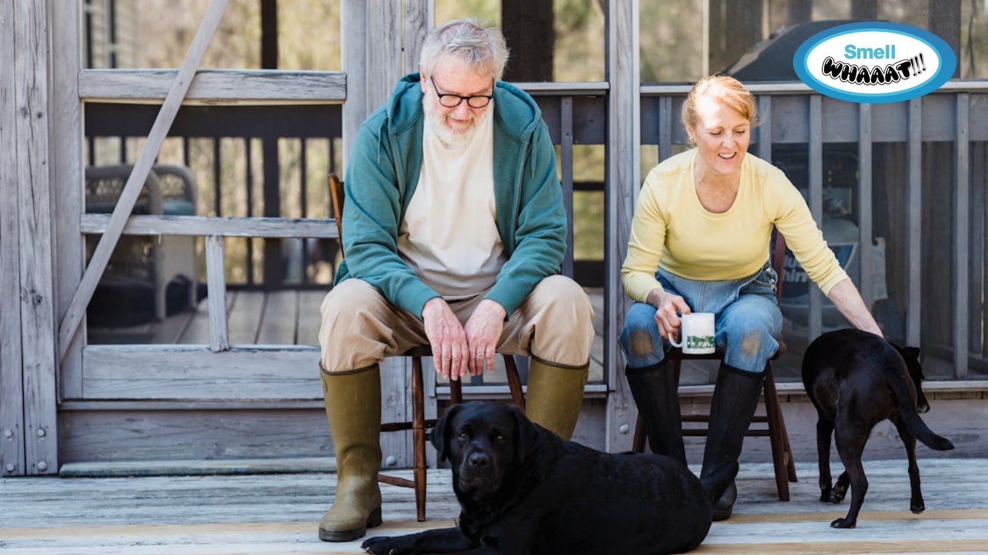 How to Eliminate Pet Odors from Artificial Turf: Artificial Turf Cleaner for Pet Odor Guide